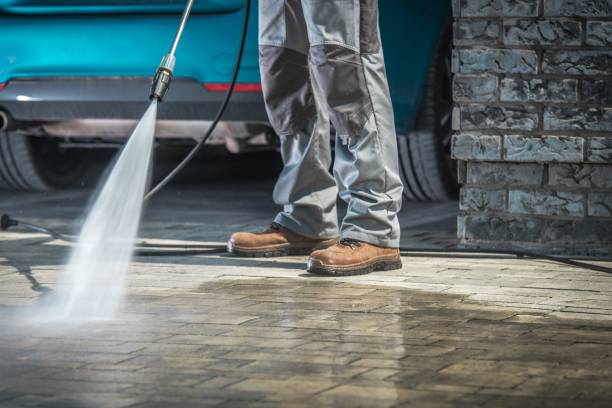 Best Paint Preparation  in East Dundee, IL