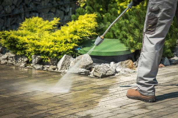 Trusted East Dundee, IL  Pressure Washing Services Experts
